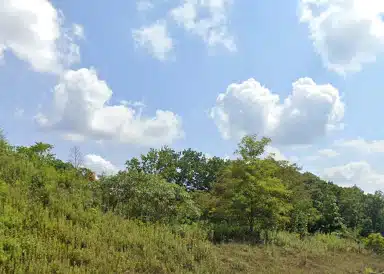 Wildwood Trailhead Beckley WV